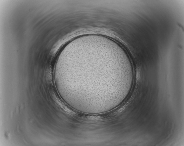 X0000102301498200808011527