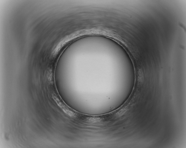 X0000102301499200808011527