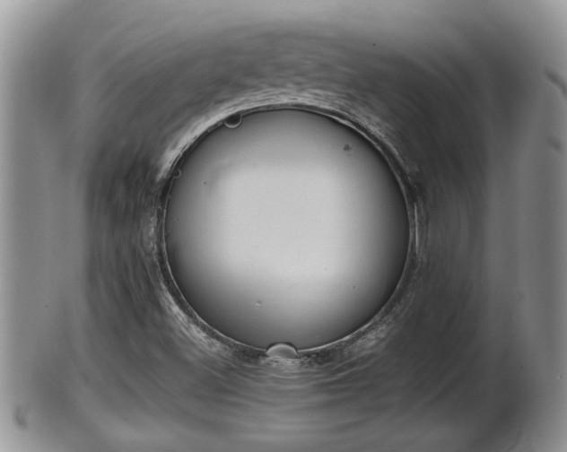 X0000102301500200808011527