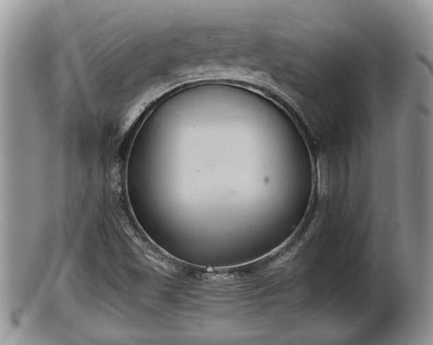 X0000102301501200808011527