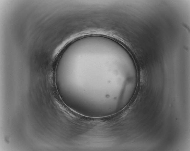 X0000102301502200808011527