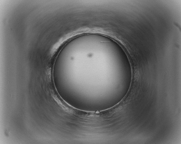 X0000102301503200808011527