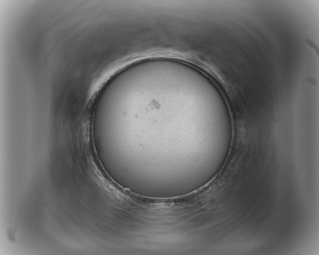 X0000102301504200808011527