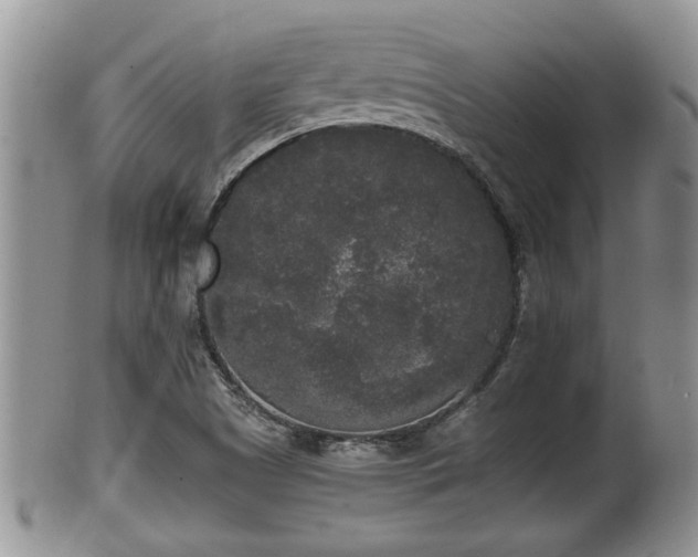 X0000102301505200808011527