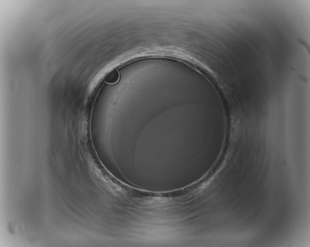 X0000102301506200808011527