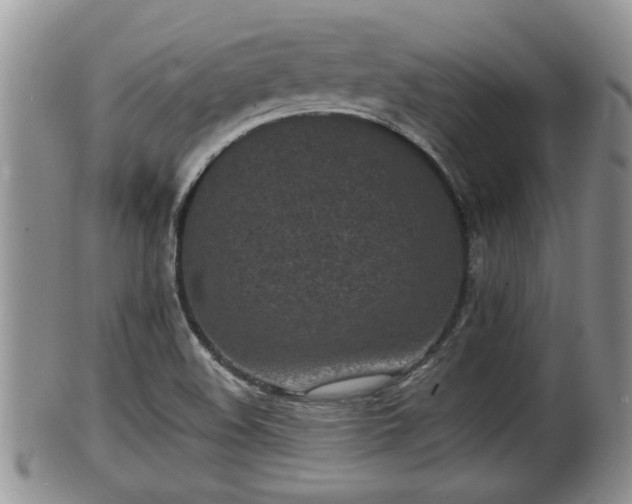 X0000102301508200808011527