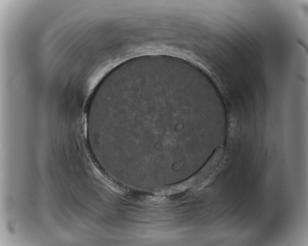 X0000102301509200808011527