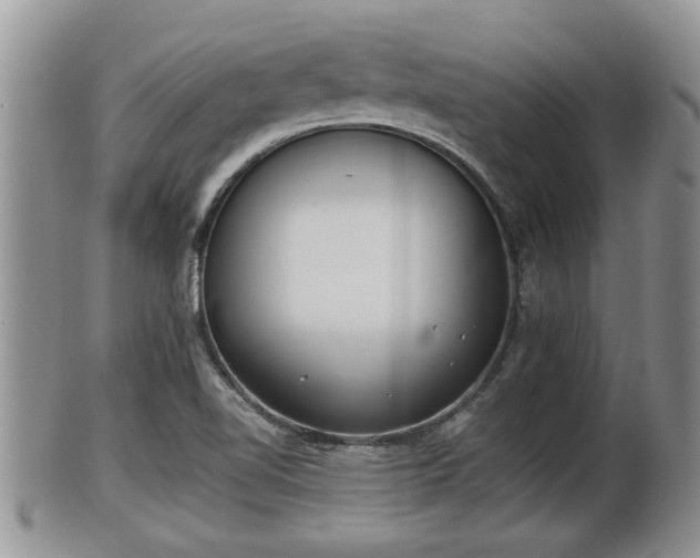 X0000102301510200808011527