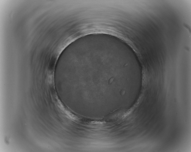 X0000102301513200808011527