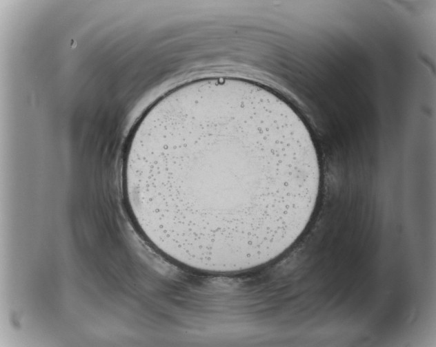 X0000102301514200808011527