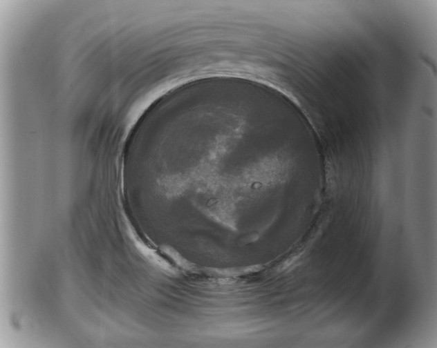 X0000102301515200808011527