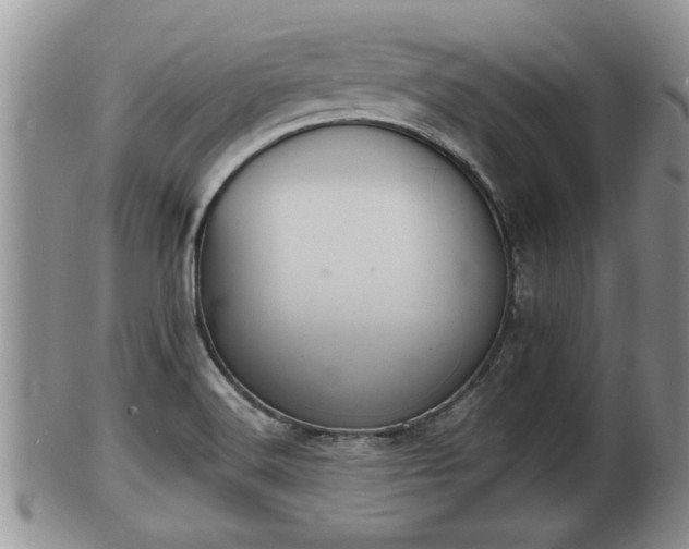 X0000102301516200808011527