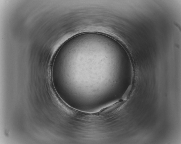 X0000102301517200808011527