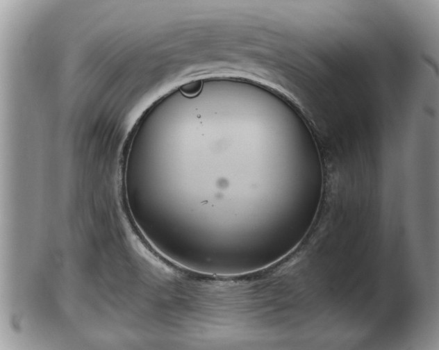 X0000102301518200808011527