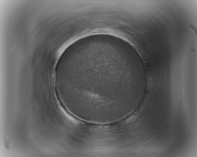 X0000102301519200808011527