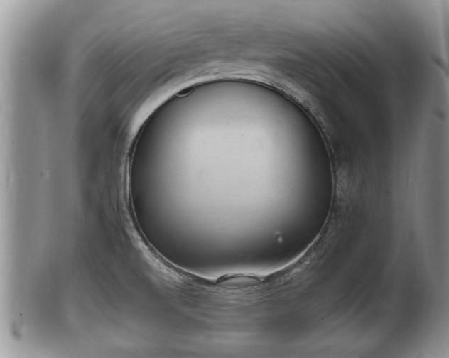 X0000102301520200808011527