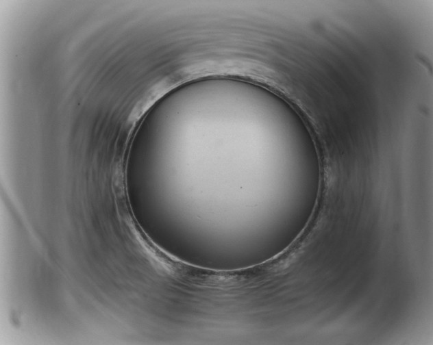 X0000102301521200808011527