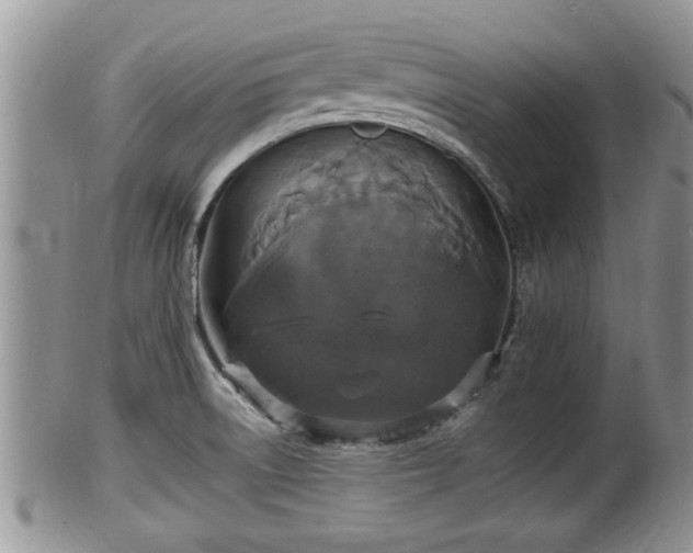 X0000102301522200808011527