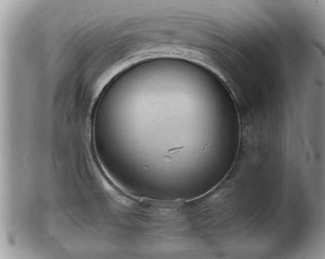 X0000102301523200808011528