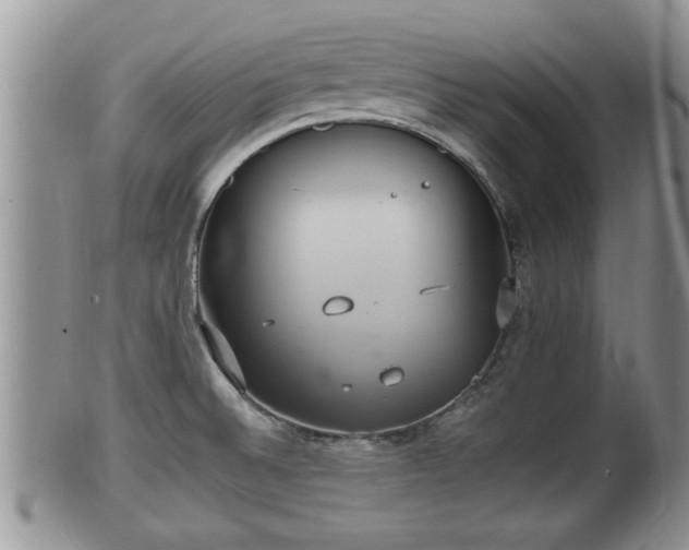 X0000102301524200808011528