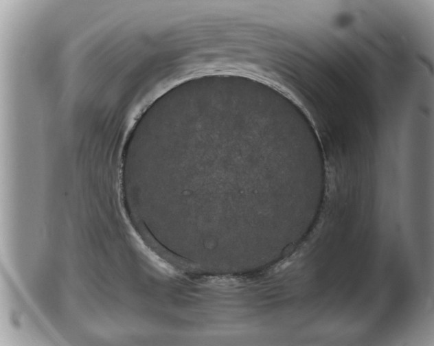 X0000102301525200808011528