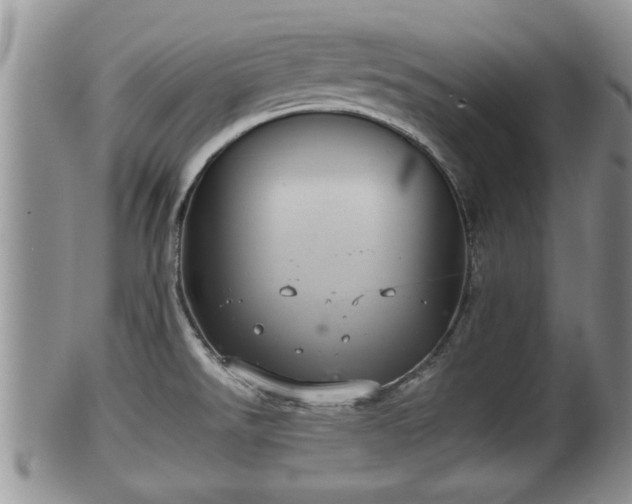 X0000102301526200808011528