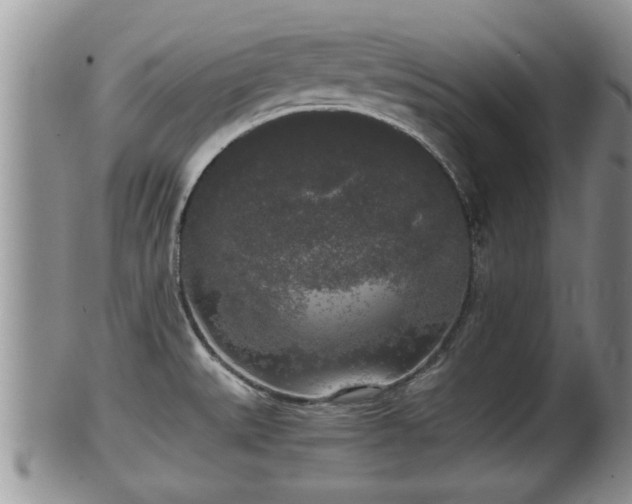 X0000102301527200808011528