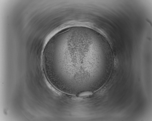 X0000102301528200808011528