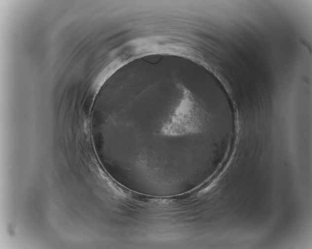 X0000102301529200808011528