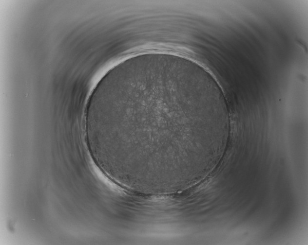 X0000102301531200808011528