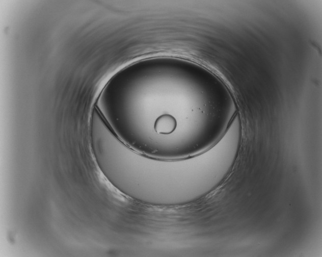 X0000102301532200808011528