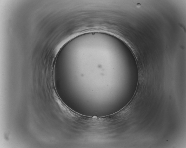 X0000102301534200808011528