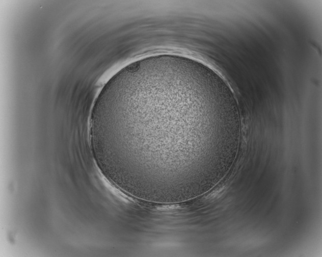 X0000102301535200808011528