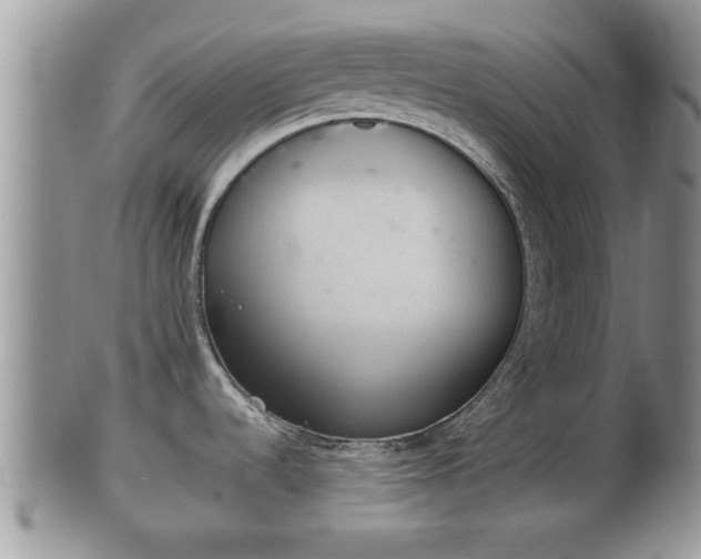 X0000102301536200808011528