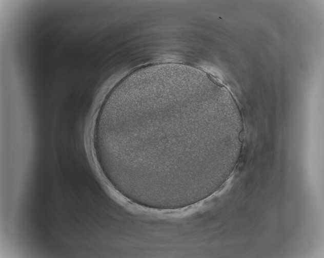 X0000102300001200808081554