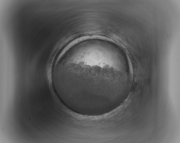 X0000102300002200808081554