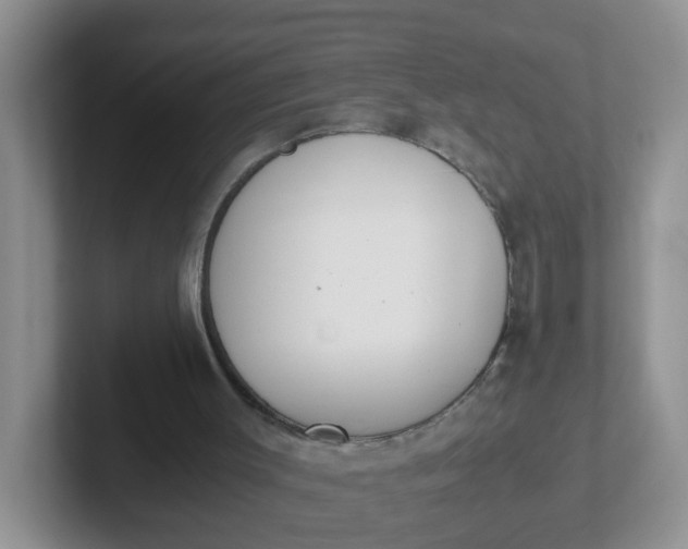 X0000102300003200808081554