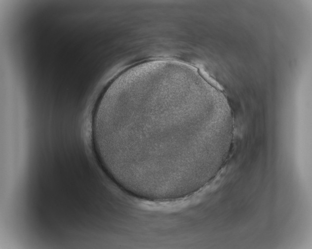 X0000102300005200808081554