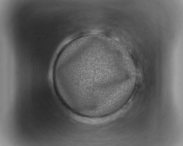 X0000102300006200808081554