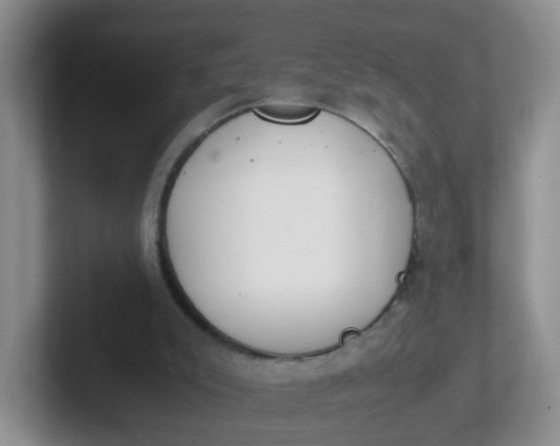 X0000102300007200808081554