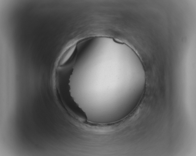 X0000102300008200808081554