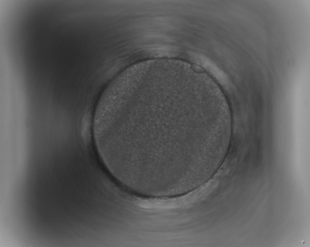 X0000102300009200808081554