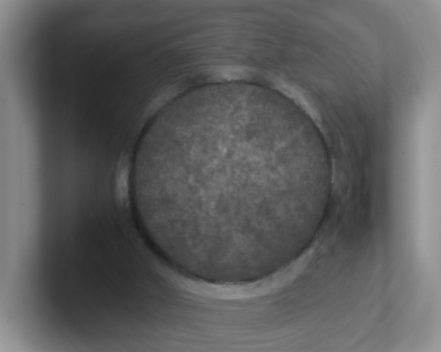 X0000102300010200808081554