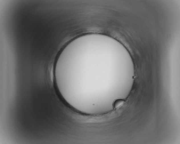 X0000102300011200808081554