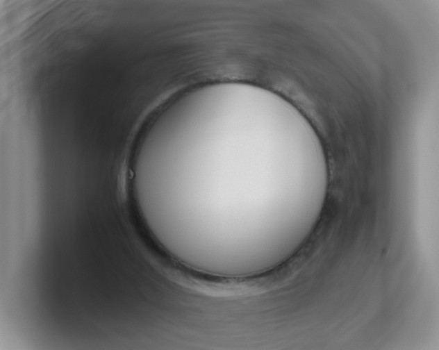 X0000102300012200808081554
