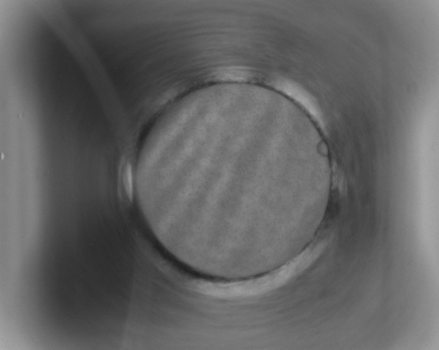 X0000102300013200808081554