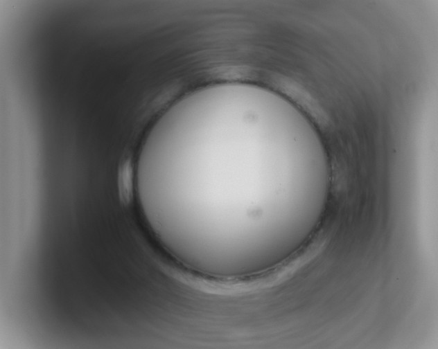 X0000102300014200808081554