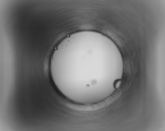 X0000102300015200808081554