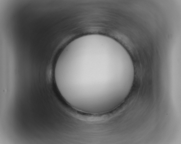 X0000102300016200808081554