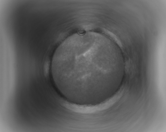 X0000102300018200808081554